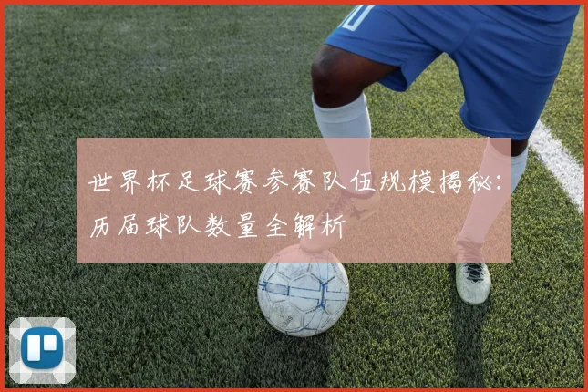 世界杯足球赛参赛队伍规模揭秘：历届球队数量全解析