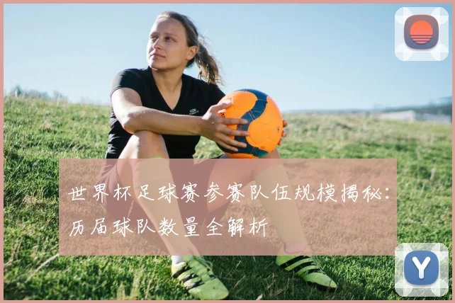 世界杯足球赛参赛队伍规模揭秘：历届球队数量全解析